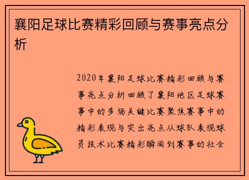襄阳足球比赛精彩回顾与赛事亮点分析