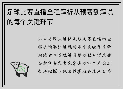 足球比赛直播全程解析从预赛到解说的每个关键环节