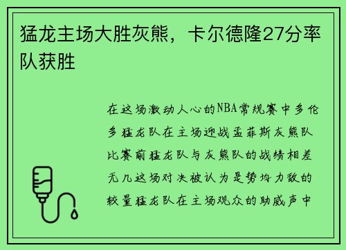 猛龙主场大胜灰熊，卡尔德隆27分率队获胜