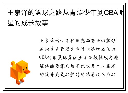 王泉泽的篮球之路从青涩少年到CBA明星的成长故事